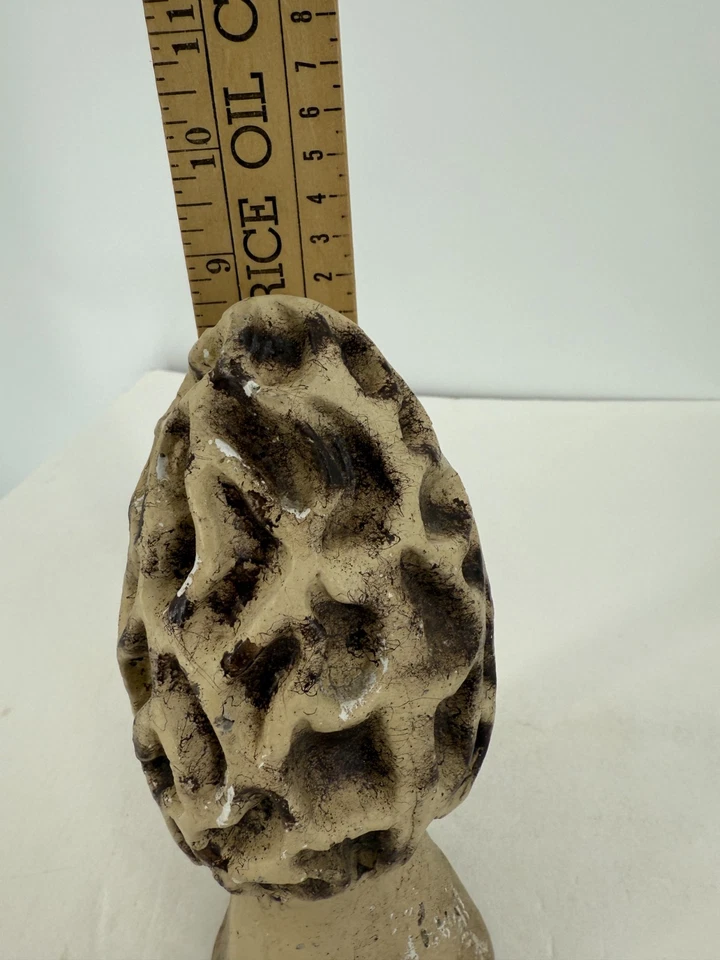 Vintage Concrete Cement Morel Mushroom Statue 9" Garden Yard Décor Weathered - Image 4 of 4