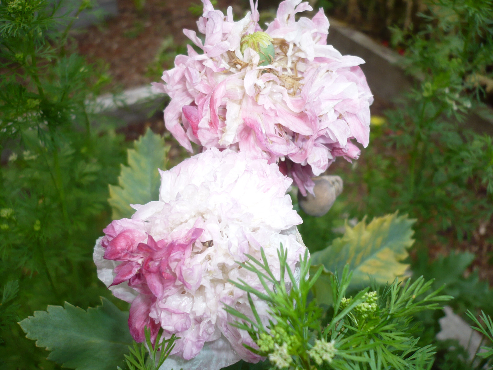 Foto 17 di 24
