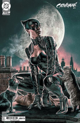 CATWOMAN #71 (LEE BERMEJO VARIANT)(2024) COMIC BOOK ~ DC COMICS | eBay