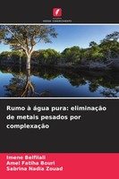 Rumo à áGua Pura: EliminaçãO De Metais Pesados Por ComplexaçãO Belfilali (U. A.)