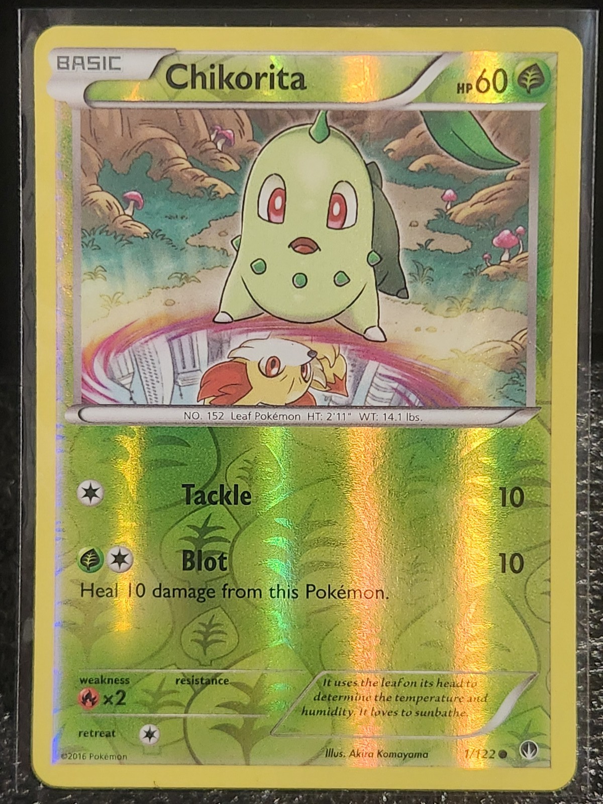 Chikorita Reverse Holo Common XY - BREAKpoint 1/122 LP