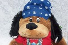 Bret Michaels Pets Rock n Roll Chance Stuffed Plush Dog Luv-A-Pet Poison 80s 90s — photo 10