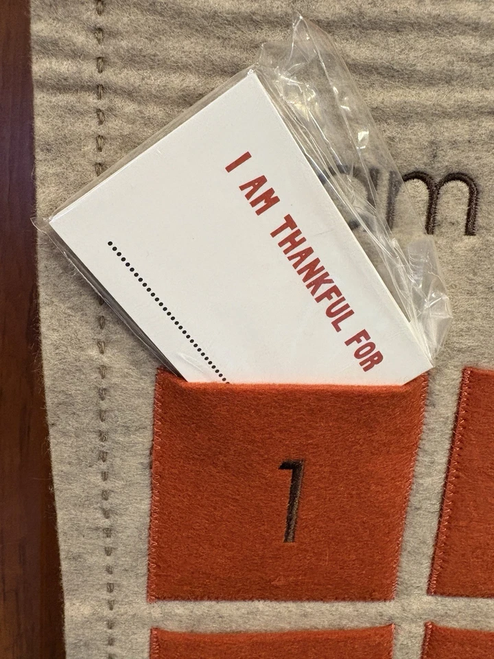 Calendario de cuenta regresiva de Adviento de Acción de Gracias Pottery Barn para niños Foto 2 de 3