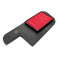 Luftfiltereinsatz Luftfilter Athena FüR Honda Fes 250 Foresight Piaggio X9
