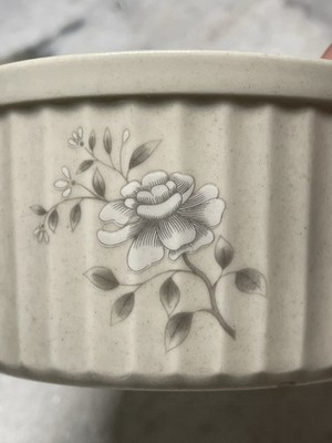 Southampton Stoneware Collection Ramekin Baking Oven To Table To Freezer 2 x 4 