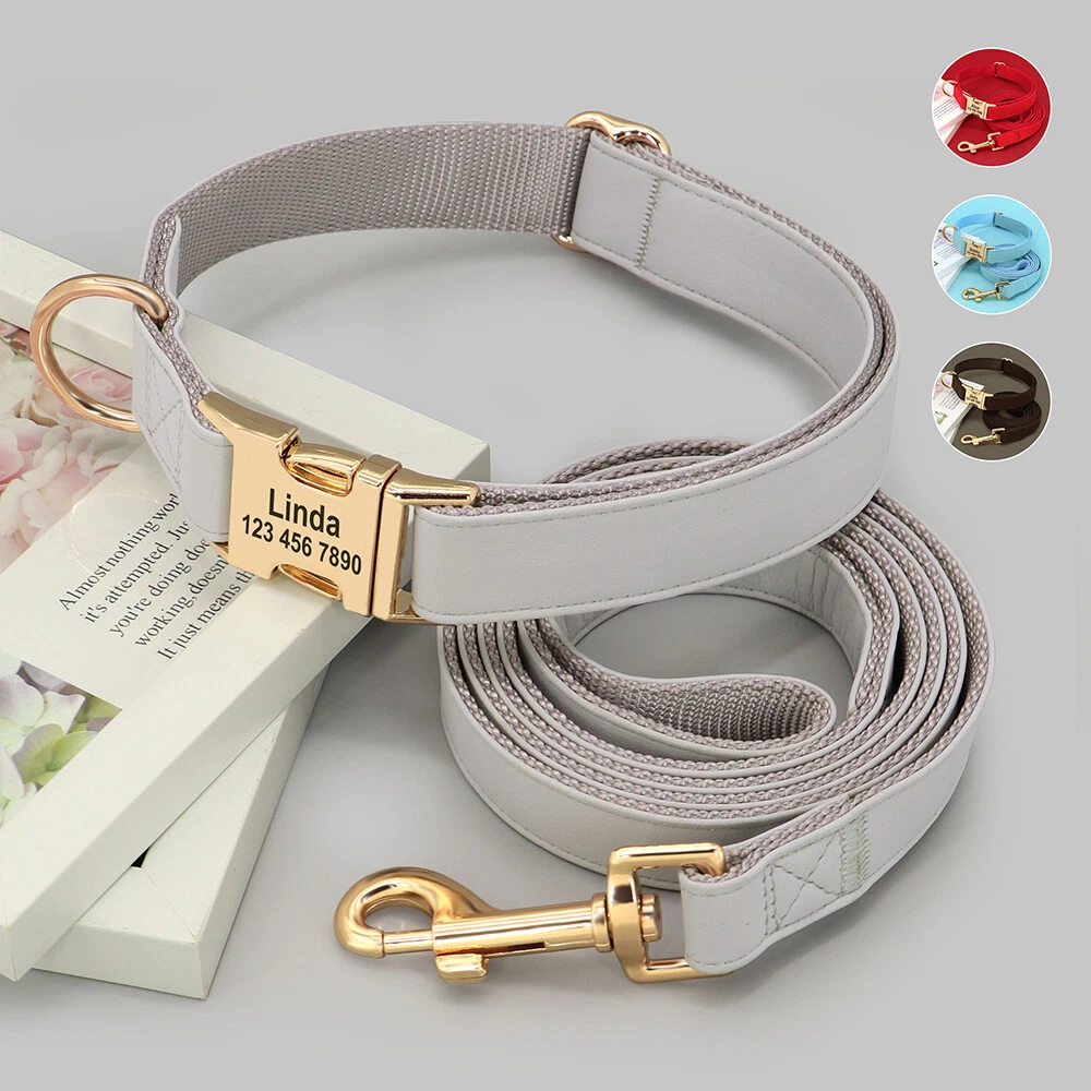 Personalised collar and lead 2025