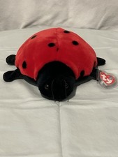 Ty Beanie Buddy Lucky the Ladybug 9" Long Retired W/ Tags