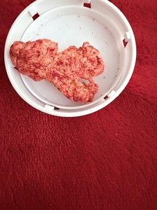 ONE OF A KIND chester cheetah shaped  REAL cheeto NOT EDDIBLE