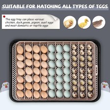   70 Egg Incubator for Hatching Eggs with Auto Egg Turning  Temperature Control