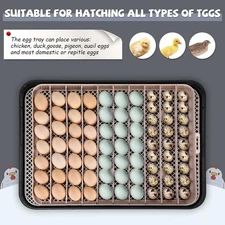 🔥70 Egg Incubator for Hatching Eggs with Auto Egg Turning & Temperature Control