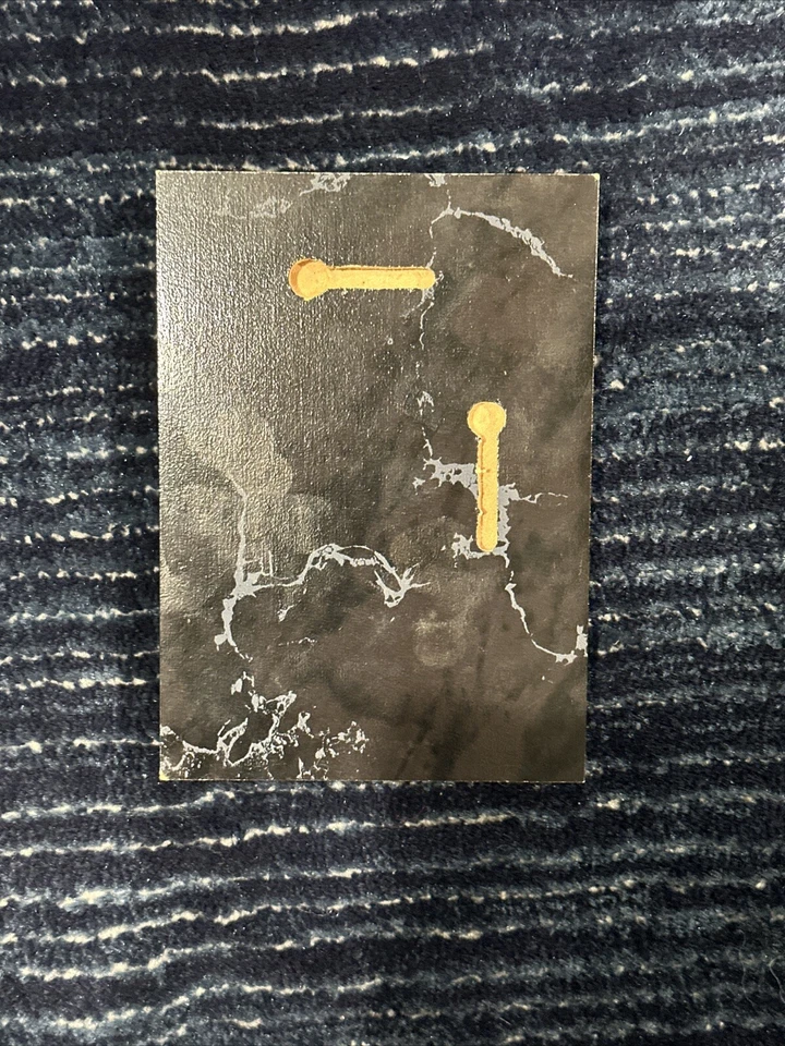 Dominik Hasek Hockey Card Plaque NHL Sabres Red Wings Blackhawks Goalie GOAT - Image 4 of 4