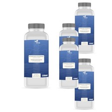 5x250 ml Scheibenklar Scheibenreiniger Sommer Konzentrat 1:100 Ozeanduft