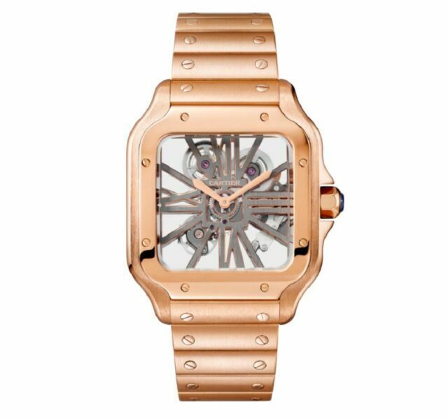 Las mejores ofertas en Cartier Santos de Cartier Skeleton