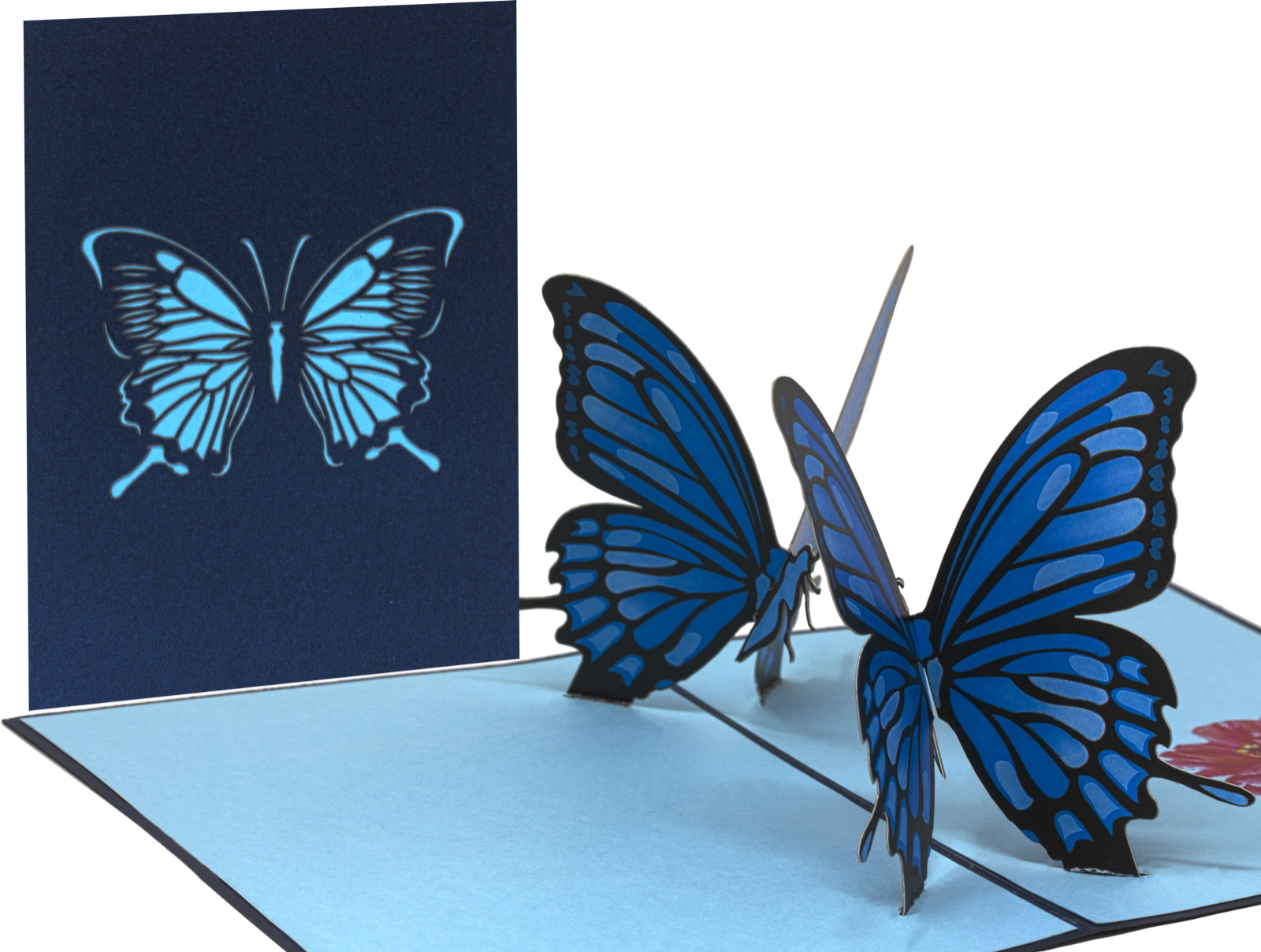 Schmetterling Geburtstagskarte Pop Up 3D