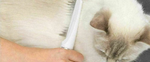 Catit Longhair Grooming Kit Cat Long Hair Pin & Slicker Brush Comb Nail clippers - Picture 6 of 7