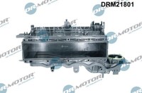 DRM21801 Dr.Motor Automotive Saugrohrmodul FüR Audi,Seat,Skoda,Vw