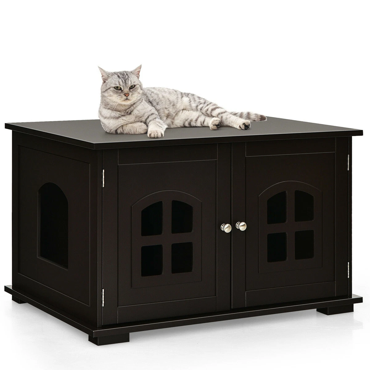 Hidden hotsell kitty litter