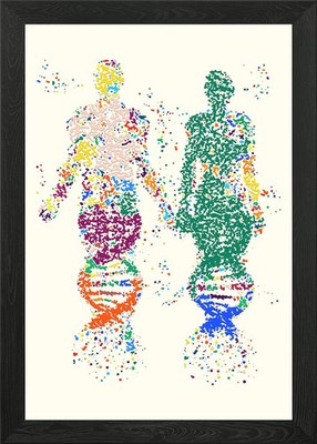 Menschliche DNA Wissenschaft Gemälde gerahmt Wandbild Poster Druck Bild
