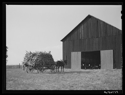 Photo:Lexington Kentucky 1940 Burley Tobacco Wagon Barn Russell Spear Farm