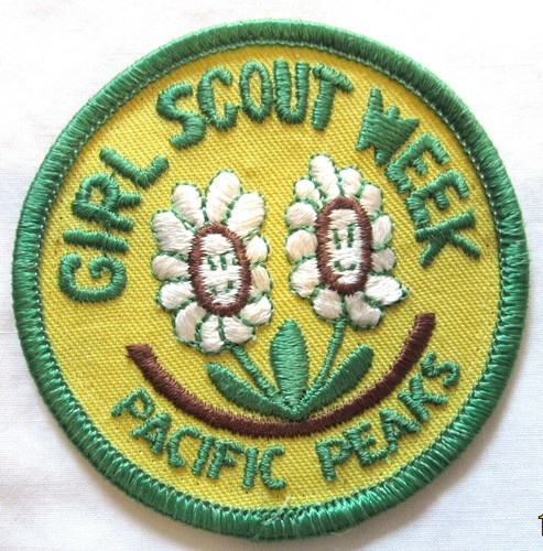47 Different Girl Scout Council PATCHES By State: VT VA WA WV WY CHOOSE ONE - Picture 28 of 49