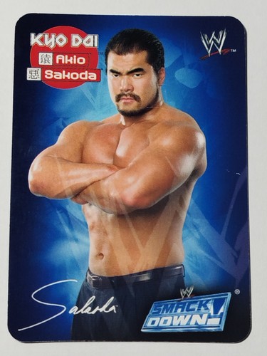 WWE Raw Smackdown 2004 ITA Gioco di Carte TCG Scegli la tua carta - Foto 131 di 140