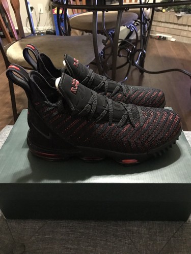 sepatu lebron james 16