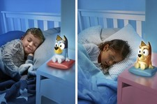 GoGlow Buddy Bluey Night Light and Torch - Choose from Bluey or Bingo From Moose