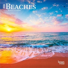 Beaches | 2026 7x14" (Hanging) Monthly Mini Wall Calendar