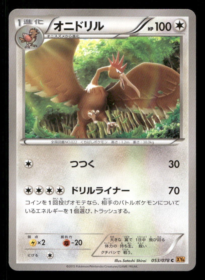 Fearow 053/078 Emerald Break Japanese NM/M Pokemon