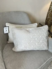 2-NWT CASA DECOR CUT VELVET DESIGN DECORATIVE LUMBAR PILLOWS