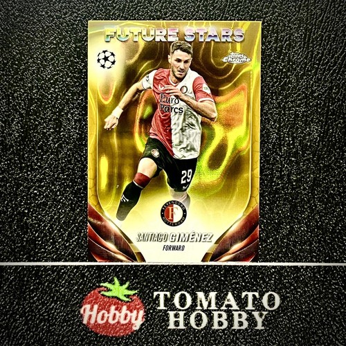 Carte TOPPS STADIUM CHROME UEFA 2023-24, Fernando Torres, ROSE ROUGE REFRACTEUR 1:2000 ATM