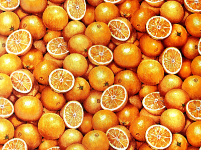 Cotton Quilt Fabric Fruit and Ice Oranges Makover UK by Half Yard