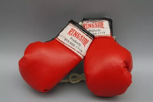 Ebay hotsell boxing equipment