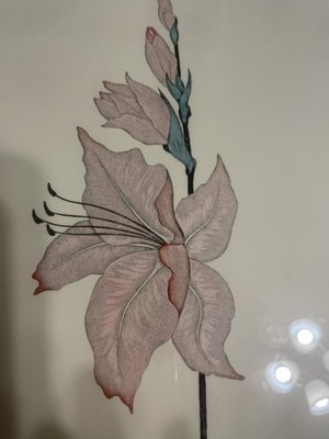 Gorgeous Dan Mitra ''Pink Gladiola Limited Lithograph Signed & Numbered 