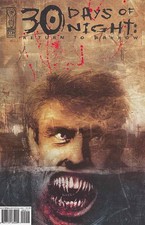 30 Days of Night: Return to Barrow #2 VF/NM; IDW | Niles Templesmith - w/Bag+Boa