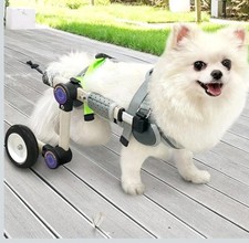 Adjustable Dog Wheelchair for Back Legs Mobility Lightweight Pet 11 To 18 Pound
