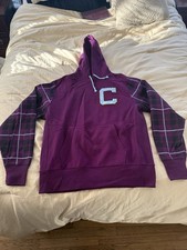 Champion Reverse Weave Hoodie Sweatshirt Purple Stripes Mens Size Large