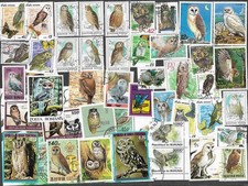 OWLS ON STAMPS  100 ALL DIFFERENT COLLECTION  NATURE BIRDS RAPTORS     29/3/26