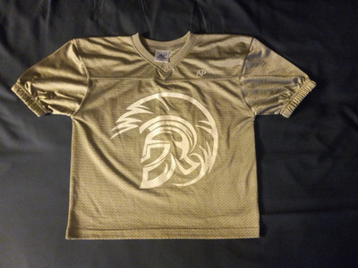 Unknown Team Jersey - Youth - S/M - GRAY WITH SPARTAN - CJ NOEL INSURANCE