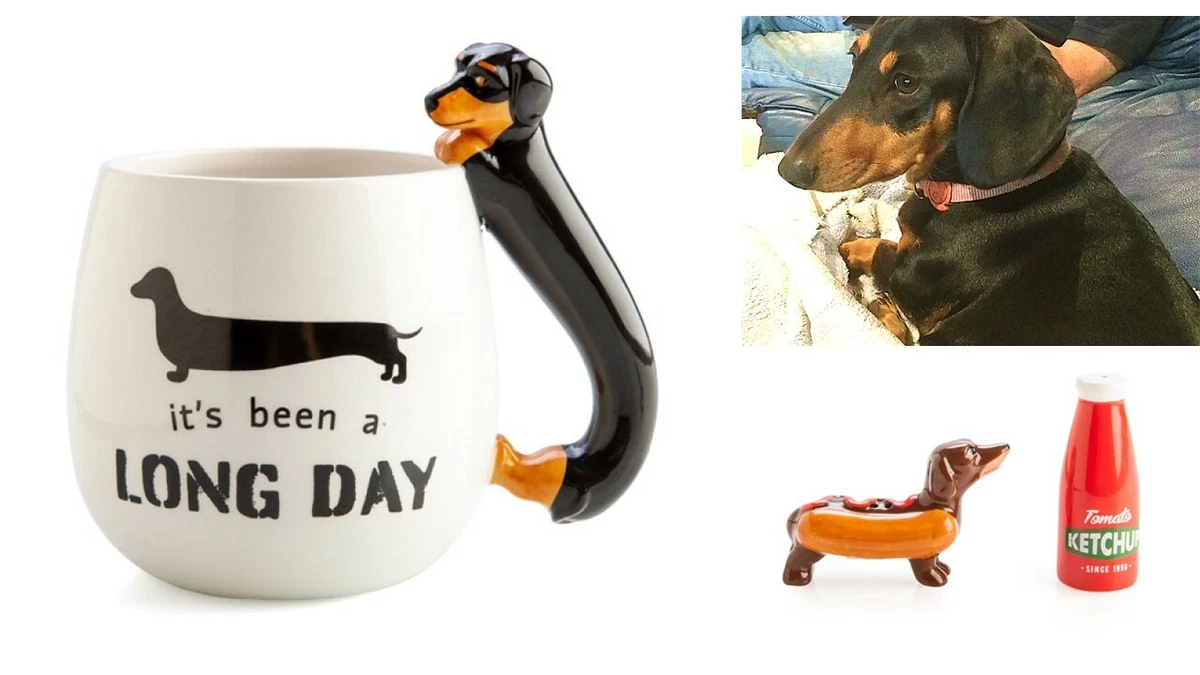 Dachshund gifts shop