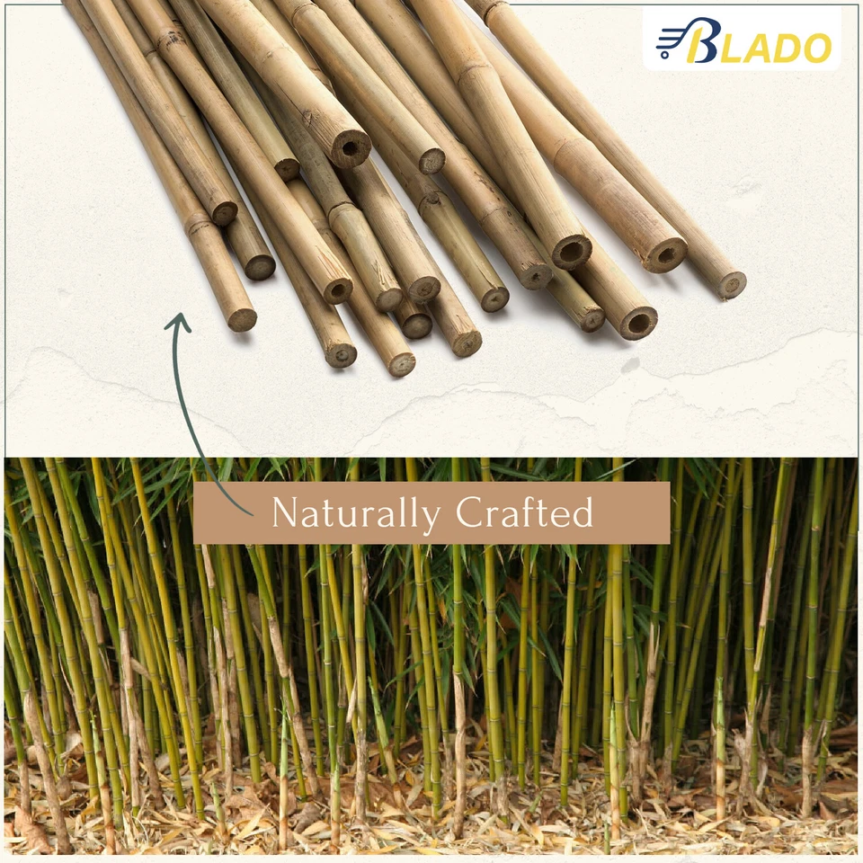 2ft - 6ft Strong Thick Heavy Duty Bamboo Canes Garden Flower Plant Support Stick - Image 3 of 4