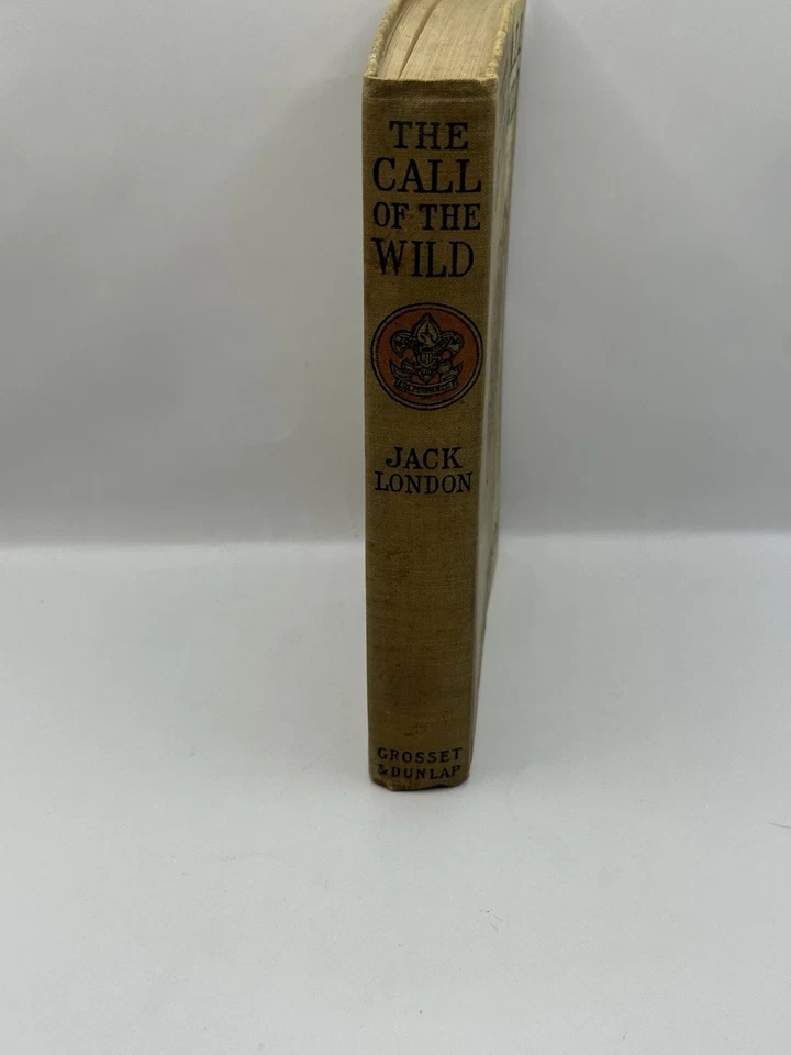 Vintage 1913 The Call Of The Wild By Jack London - Every Boy’s Library Foto 3 de 4