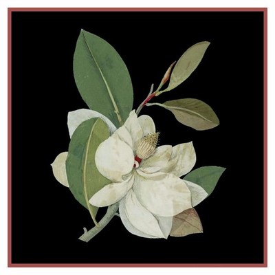 Magnolia Blossom Flowers inspired Mary Delany Counted Cross Stitch Pattern