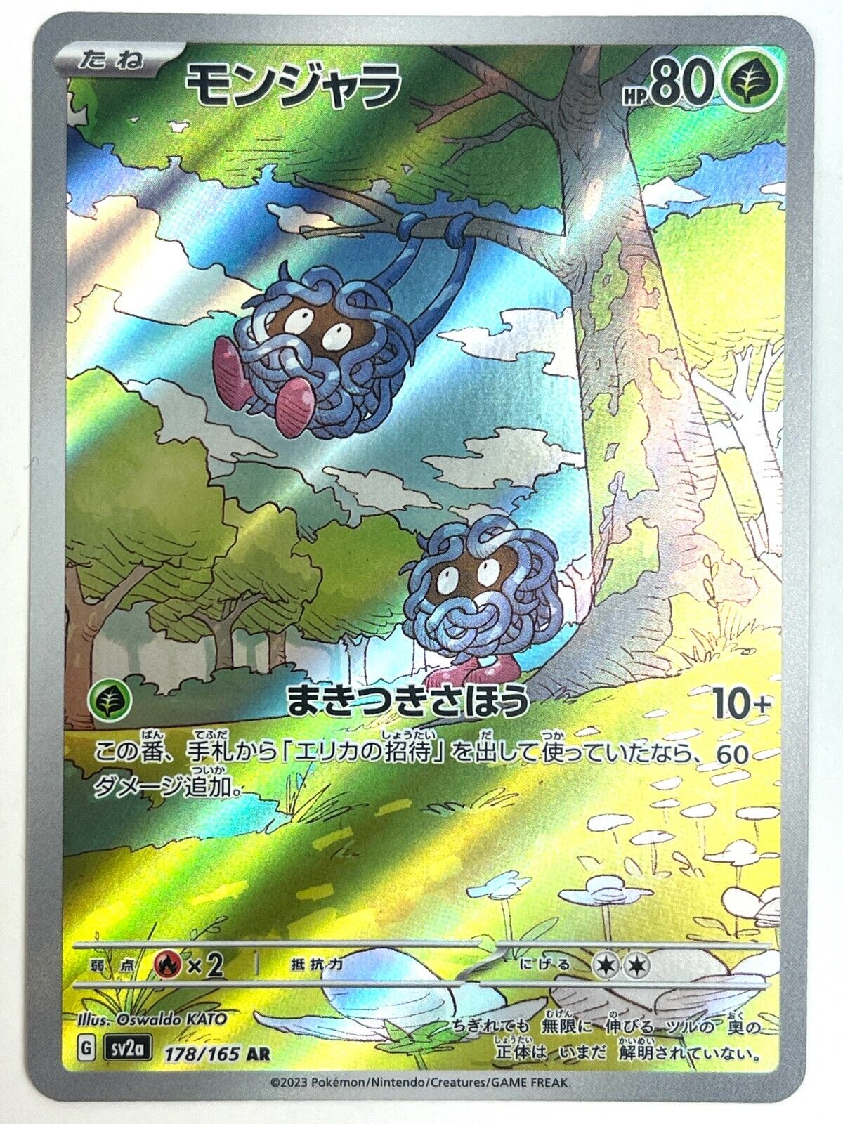 Mavin  Kangaskhan ex SR Holo 192/165 SV2a Pokemon card 151 2023 Pokemon  TCG JAPANESE NM