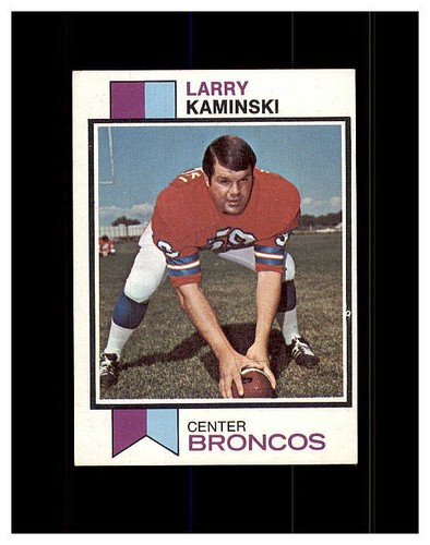 1973 TOPPS FOOTBALL YOU PICK FINISH OR UPGRADE YOUR SET HIGHER GRADE SET BREAK - Picture 374 of 457