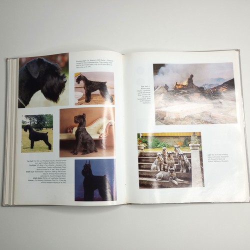 The World Of Schnauzers - Standard - Giant - Miniature | by Johan Gallant (HC) - Picture 13 of 15