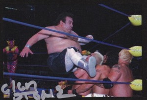 Alan Stone Signed Brazo de Plata Scorpio Jr 2007 Salo Lucha Libre AAA Card #149