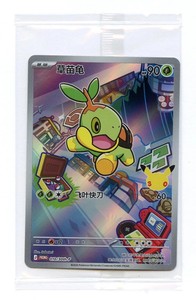 Turtwig Pokemon Card | eBay