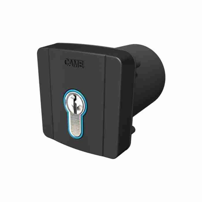 Selettore Chiave CAME 806SL-0060 SELD2FDG: Bentornato a Casa!