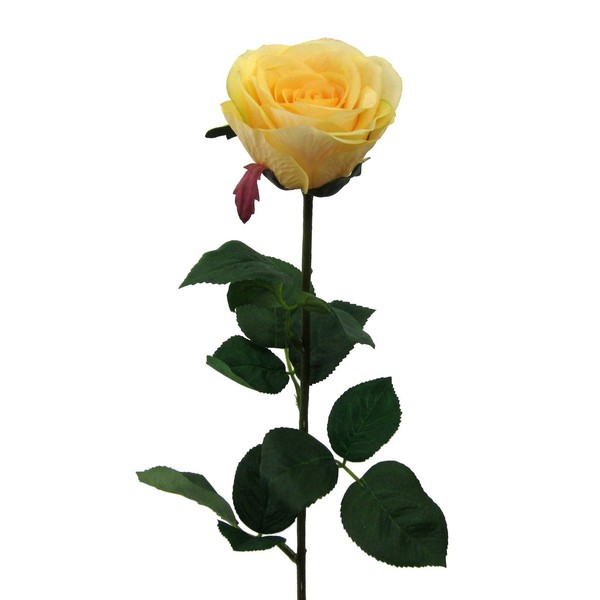 Kunstblume Gartenrose, 6Er Set, Farbe Hellgelb, HöHe Ca. 69 Cm-image